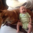 5c8b2278360000a61b6c8eab