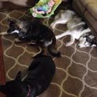 5c8b22783b000002076d0f55