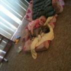 5c8b2279240000f404a42e2e