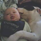 5c8b22792000004304703c4c