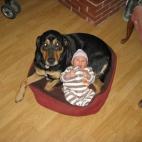 5c8b227a230000dd0424336f