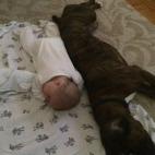 5c8b227a2300000401243371