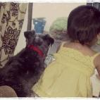 5c8b227a2500000704ca22a9