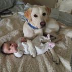 5c8b227b240000f404a42e34