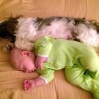 5c8b227b2400004205a42e38