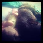 5c8b227c3b000070066d0f65