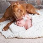 5c8b227c3b000070066d0f67