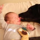 5c8b227d2000009d03703c59