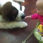 5c8b227d22000033001a5ef5