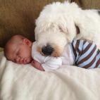 5c8b227e250000e203ca22bb