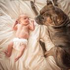 5c8b227f250000e203ca22bd