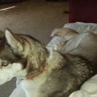 5c8b22843b000054066d0f7b