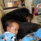 5c8b22842000009d03703c78