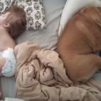 5c8b22852500000d04ca22d1