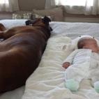 5c8b22853b000072066d0f7d