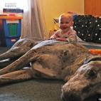 5c8b2285360000c81a6c8ed9