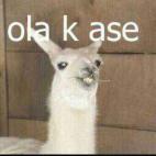 El meme de la llama que decía OLA K ASE existía ya, pero un hilo mítico en noviembre de 2012 dio el espaldarazo definitivo a su popularización.