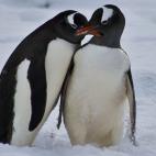 5c8b0f313b000070066ce151