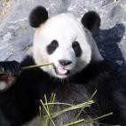 5c8b0f322300002f00e77b72