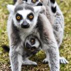 5c8b0f323b000054066ce153