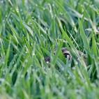 5c8b0f33230000dd042403ba