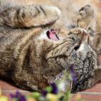 5c8b0f343b000002076ce159