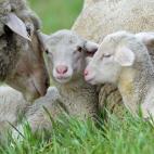 5c8b0f343b000072066ce15b