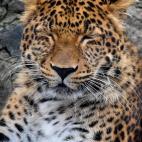 5c8b0f343b000072066ce15d