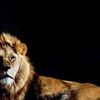 5c8b0f352500001304c9f3c8