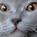 5c8b0f363b000072066ce161