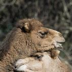 5c8b0f37240000f7054cc2fe