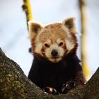 5c8b0f3724000093024cc301