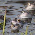 5c8b0f37240000f7054cc304