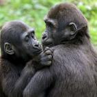 5c8b0f382300002f00e77b86