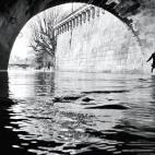 5c8ae17e360000e01c6c3a53