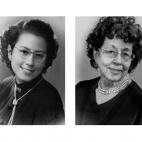 5c8ae1632500001304c9cdea