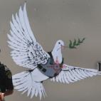 5c8a49453b000037066bc955