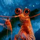 5c8add8a250000e203c9c847