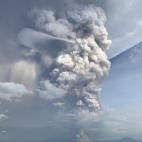 5e1b55861d00004f00ecc1b5