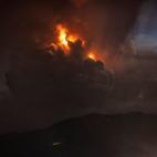 5e1b55732100004d003dee76