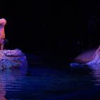 5c8ae28620000043046fe995