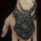 5c8adaad3b000002076cb0ea