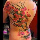 5c8adaae3b000072066cb0ec