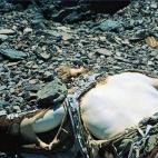 Geroge Mallory y Andrew Irvine formaron parte de la primera de las tres expediciones británicas al Everest en los años 20. Ambos murieron en junio de 1924 en circunstancias aún desconocidas. En 1999 se halló el cuerpo de Mallory parcialmente...