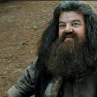 5c8a3acb2400004205a2cf8e