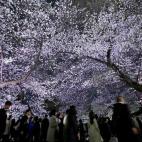 5c8a9fda2500000d04c94ceb