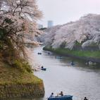 5c8a9fdb230000dd04235c40