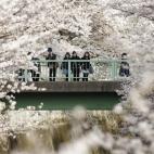 5c8a9fdb360000e01c6bba69