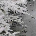 5c8a9fdb360000ba1a6bba6d