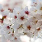 5c8a9fdb2400006c05a3577e